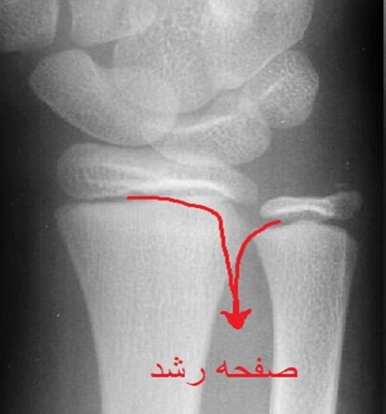 صفحه رشد