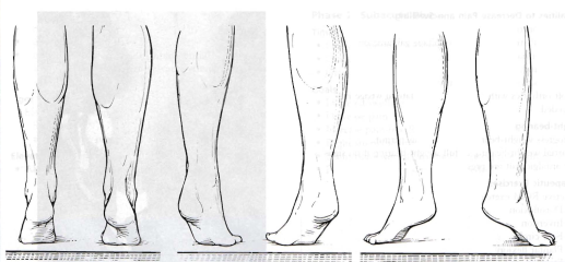 تمرین heel raise