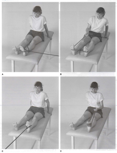 تمرینات تقویتی مچ پا - ankle sprain