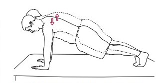 تمرینات plyometric عضلات شانه